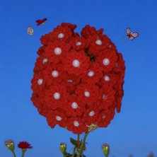 Sones Kozmetik Lale Çiçek Saksısı Şeklinde Bardak Altlığı El Emeği Orlon %100,ANNELER Günü Kadınlar Günü Hediye