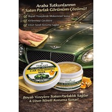 TERLANS UV Korumalı Araç Parlatıcı ve Koruyucu Vaks, 250 ml + Mikrofiber Bez Fine Finish Auto Detailing