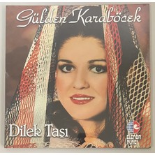 Elenor Gülden Karaböcek Dilek Taşı Lp Plak (Sıfır Jelatinli)