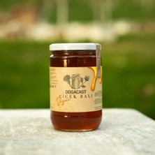 Dogacast Doğal Çiçek Balı 850 ml