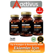 Activus Northway Kolajen Tip 2 Eklem Desteği Tam Destek Metilsülfonilmetan Msm Type Iı 3'lü Paket