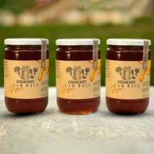 Dogacast  Doğal Çam Balı 3X850 ml