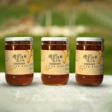 Dogacast  Doğal Çiçek Balı 3X850 ml