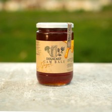 Dogacast  Doğal Çam Bal 850 ml