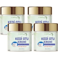 Kedi Otu Kremi 50 ml Kafur Ağacı Yağlı Paincream 4 Adet