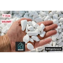 Dogant Peyzaj Saksı Dere Dolomit Teraryum Akvaryum 4 kg Taş