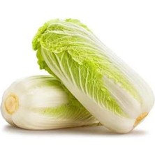 Leaf Shop Adet Çin Lahanası Tohumu