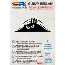 Güray Reklam Dikizleyen Gözler Temalı Oto Cam ve Kaporta Sticker (17 Cm)
