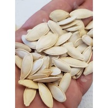 Leaf Shop Tarım Doğal Çerezlik Kabak Çekirdeği Ürgüp Hanım Tırnağı Tohumu 20 Ad