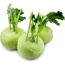 Leaf Shop Tarım Yerli Doğal Kohlrabi Yer Lahanası Cehennem Topuzu Yeşil Alabaş Turpu 100 Adet Tohum