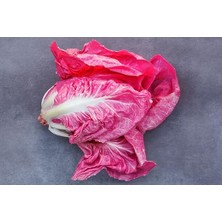 Leaf Shop Adet Ithal Pembe Marul Tohumu