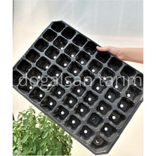 Leaf Shop Viyolü 48 Göz 2 Adet Fide Viyol Fide Viyolleri Fide Yetiştirme Kabı Tohum Ekim Kabı Fidelik Siyah