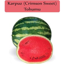 Leaf Shop Organik Karpuz Tohumu 1 Paket (10GR=100+ Adet) Crimson Sweet Karpuz Tohumu