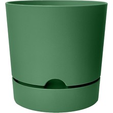 Leaf Shop Begonya Saksı Tabaklı Drenajlı Mat Plastik Çiçek Saksısı (Yeşil, 3.3 Litre)