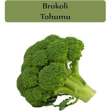 Leaf Shop Organik Brokoli Tohumu 1 Paket (1 GR=250+ Adet)