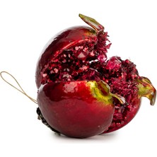 Doğaberen Incili Açık Nar 12CM Koyu Kırmızı- Bordo