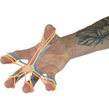 Leaf Shop Sh2 Silikon El Ekstansiyon Lastiği Seti