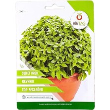 Leaf Shop Top Fesleğen Tohumu