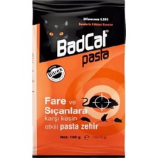 Leaf Shop Pasta 100 gr Pestisit