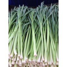 Leaf Shop Garden Ithal Pırasa Tohumu Uzunbilek 100 Ad. Tohum