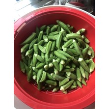 Leaf Shop Garden Doğal Japon Bamyası Tohumu 100 Ad. Tohum