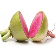 Leaf Shop Kırmızı Beyaz (Çoklu Tohum) - 5 Gram