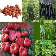 Leaf Shop Organik 6 Paket Tohum NO18 Arpacık Soğan 1 Kg. Iska Hibrit Salatalık Patlıcan Köy Domatesi Biberi Tohumu