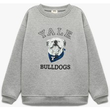 Lisanslı Uzun Kollu Bisiklet Yaka Baskılı Şardonlu Sweatshirt