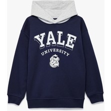 Lisanslı Kapşonlu Uzun Kollu Şardonlu Baskılı Sweatshirt