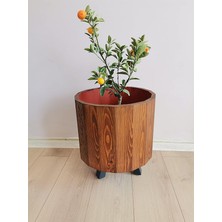 Leaf Shop Mobilya Ahşap Ahşap Saksı Yuvarlak Büyük Boy Saksılık Kestane