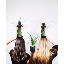 Leaf Shop Yeşil Yapraklı/tropik Bitkiler Için Organik Içerikli Bitki Besini 500 ml Sıvı Gübre