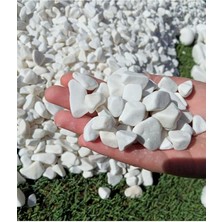 Leaf Shop Taş 5 kg 1-2 cm Beyaz Dolomit Bahçe Taşı Çakıl Taşı Saksı Taşı Akvaryum Teraryum Taşı
