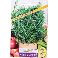 Leaf Shop Biberiye Rozmarin Tohumu
