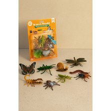 Tuengi Store Premium 9'lu Gerçekçi Oyuncak Böcek Seti - 12 Parça Hayvan Figürleri ve Aksesuarları (4-7 Cm)