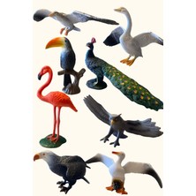 Tuengi Store Dev Boy 8'li Yabani Yırtıcı Kuşlar Figür Seti Eğitici Oyuncak Hayvan Seti 12-20 cm