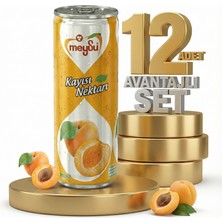 Meysu Kutu Kayısı 12X330 ml