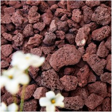 Leaf Shop Pomza Taşı 100 kg 1,5-2,5 cm Kırmızı Pomza Tarım Pomzası Bahçe Saksı Teraryum Taşı Ponza