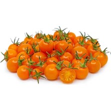 Leaf Shop Adet Sun Gold Cherry Domates Tohumu