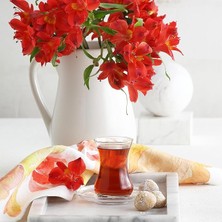 Leaf Shop Demet 12'li Çay Seti, Lv-Demets1, Dmt 303, Şeffaf