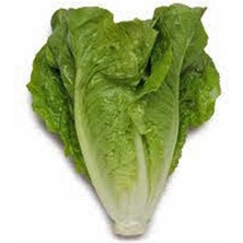 Leaf Shop Garden Yerli Marul Yedikule 1000 Ad. Tohum