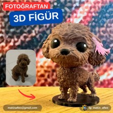 Kişiye Özel Evcil Hayvan 3D Figürü
