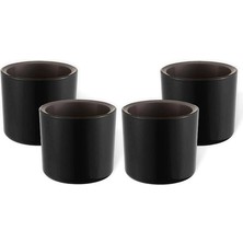 Leaf Shop 4 Adet Mimoza Saksı Küçük Boy Plastik Kaktüs Sukulent Saksısı (Siyah, 0.2 Litre)