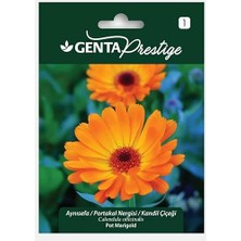 Leaf Shop Prestige Aynısefa/portakal Nergisi/kandil Çiçeği Tohumu