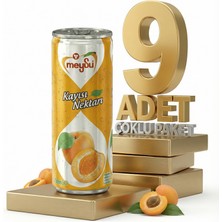 Meysu Kutu Kayısı 9X330 ml
