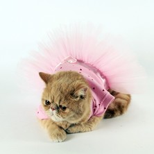 Maxstylespet Kedi Köpek Elbisesi - Kalpli Tütü Elbise