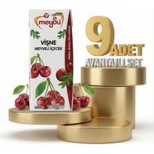Meysu Nektar Vişne 9X200 ml