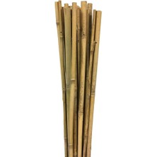 Leaf Shop 63713 Bambu Destek Çubuğu 10'lu - 10-12 mm x 120 cm