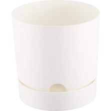 Leaf Shop Begonya 21, 5 Litre