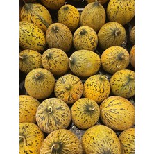 Leaf Shop Garden Doğal Kışlık Kavun Kırkağaç (637) 100 Ad. Tohum