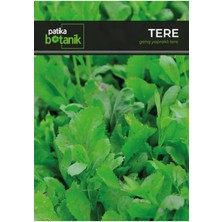 Leaf Shop Botanik 4.000 Adet Yerli Ata Tere Tohumu